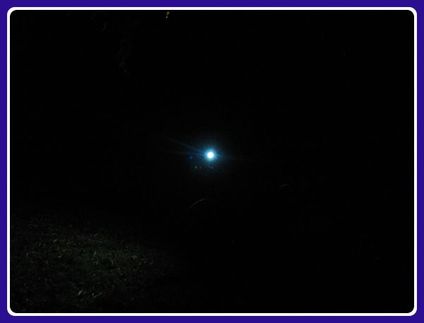 204-nuit3.jpg