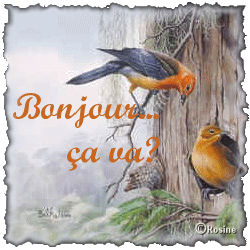 Bonjour tout le monde - Page 8 Bonjour-comment-ca-va-oiseaux
