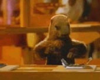 Bizarre, vous avez dit bizarre ? - Page 2 MarmotteMilka